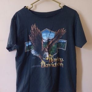 Vintage HARLEY DAVIDSON Eagle Michigan T-shirt